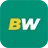 Logótipo BetWinner
